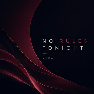 No Rules Tonight by DIAZ