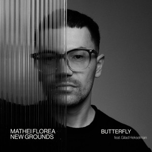 Butterfly by Mathei Florea New Grounds, Gilad Hekselman