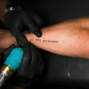 it's only permanent by David Francisco