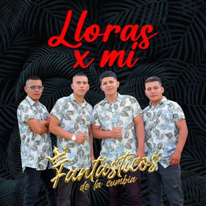 Fantásticos de la cumbia - Lloras X Mi