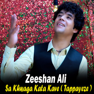 Zeeshan Ali - Sa Khwaga Kata Kave (Tappayeze)