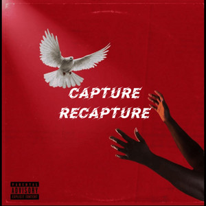 Capture Recapture by Ba3aYaga