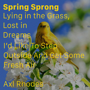 Lying in the Grass, Lost in Dreams by Axl Rhodes
