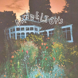 Dandelions