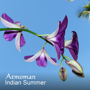 Indian Summer by Atmoman