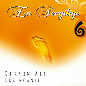 Dursun Ali Erzincanlı - Habibullah'ı Sevmek