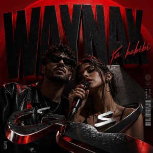 Waynak Ya Habibi / وينك يا حبيبي by NAYAIR