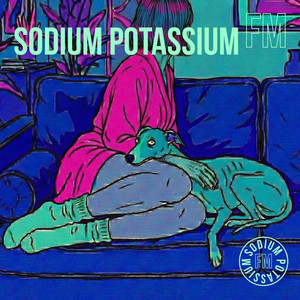 Lazybones by Sodium Potassium FM