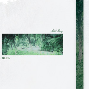 Static Ring by Bliss