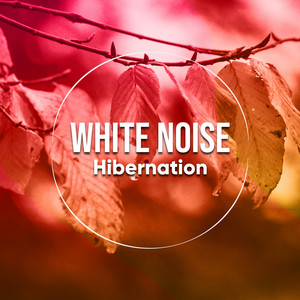 # 1 Album: White Noise Hibernation album