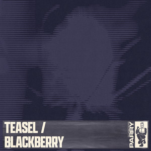 Parry — Teasel / Blackberry (2026)