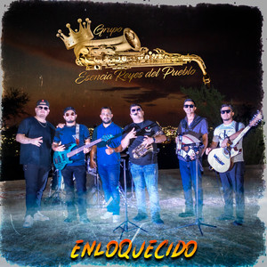 Enloquecido