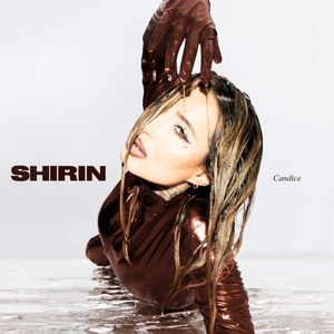 Slowdance by Shirin