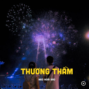 NB3 Hoài Bảo - Thương Thầm (Lofi)