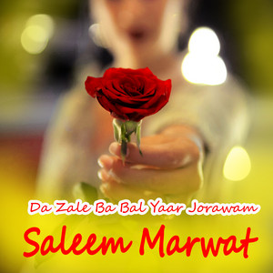Saleem Marwat - Da Zale Ba Bal Yaar Jorawam
