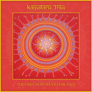 Cant Go Back by Kalpataru Tree