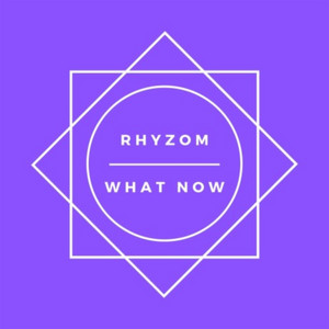 What Now - Radio Edit by Rhyzom