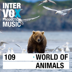 Butterfly by Joachim Tospann, Intervox Music