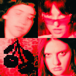 Ctrl Alt CHERRY Delete by Venus & the Flytraps, book NOT brooke