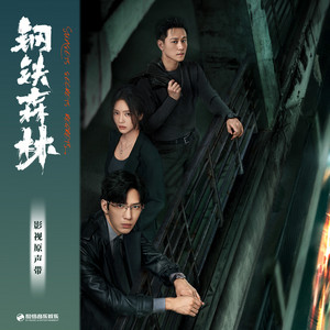 寻光（《钢铁森林》影视剧江寒声人物主题曲） by 毕聪