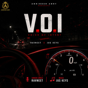 V.O.I (Voice of Intent) by Ravneet