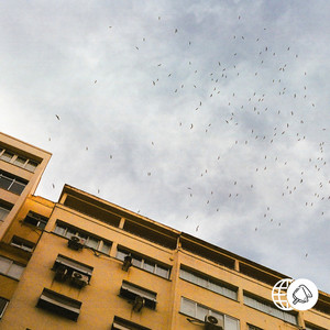 migration by Enluv, Felty, azula