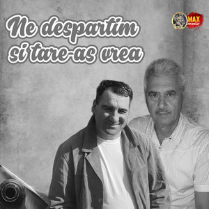 Gheorghe IEREMICI - Ne despartim si tare-as vrea