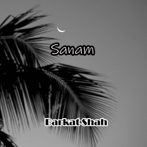 Barkat Shah - Sanam