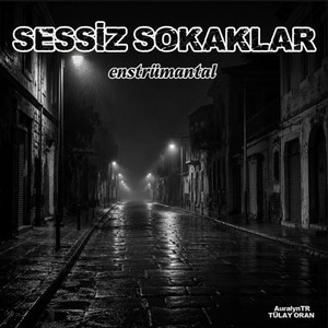 SESSİZ SOKAKLAR by TÜLAY ORAN