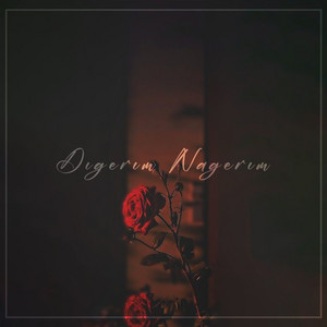 ZER Beats - Dıgerım Nagerım