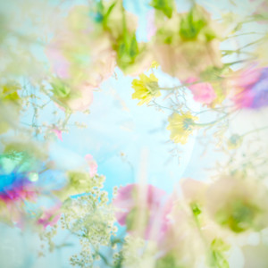 花束 by J-Rexxx, FANI