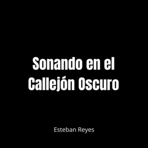 Sonando en el Callejón Oscuro by Estaban Reyes