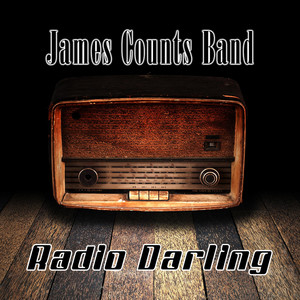 James Counts Band gallery image 1