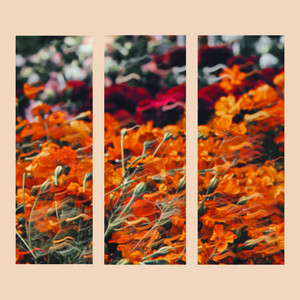 Soft Passage — Small Infinity (2026)