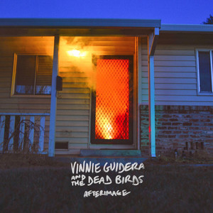 Grimacing Again by Vinnie Guidera & the Dead Birds