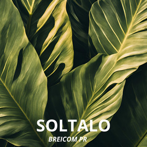 Soltalo by BREICOM PR