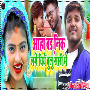 Aaha Bad Nik Lagay Chiay Bulu Sari Mein by Dharmendra Nirmaliya