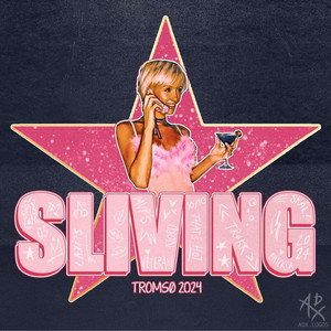 paracett og hodespinn - Sliving 2024 (HJEMMESNEKK)