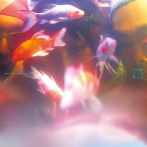 SY3 — 梦游 Sleepwalker (2026)