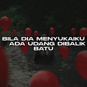Bila Dia Menyukaiku Ada Udang Di Balik Batu by NESS FX