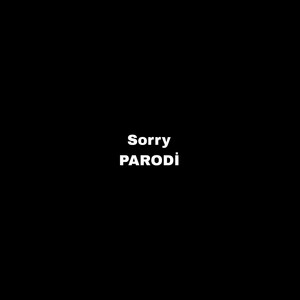 Aspectobtw - Sorry PARODİ