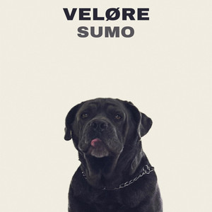 SUMO by VELØRE