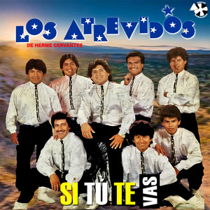 Si Tú Te Vas
