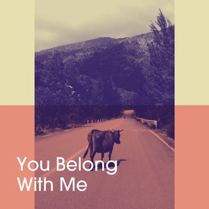 You Belong with Me album
