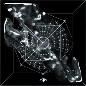 Don't Be Scared - Original Mix by Vedat Unal