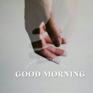 FONSECA RODRIGUES - Good Morning