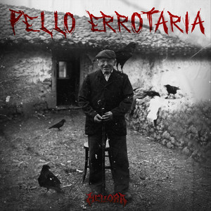 Pello Errotaria