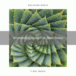 Wonderful Noise For Best Relax