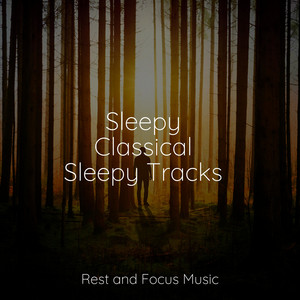 Sleepy Classical Sleepy Tracks album