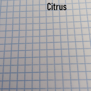 Tea Drinkers - Citrus